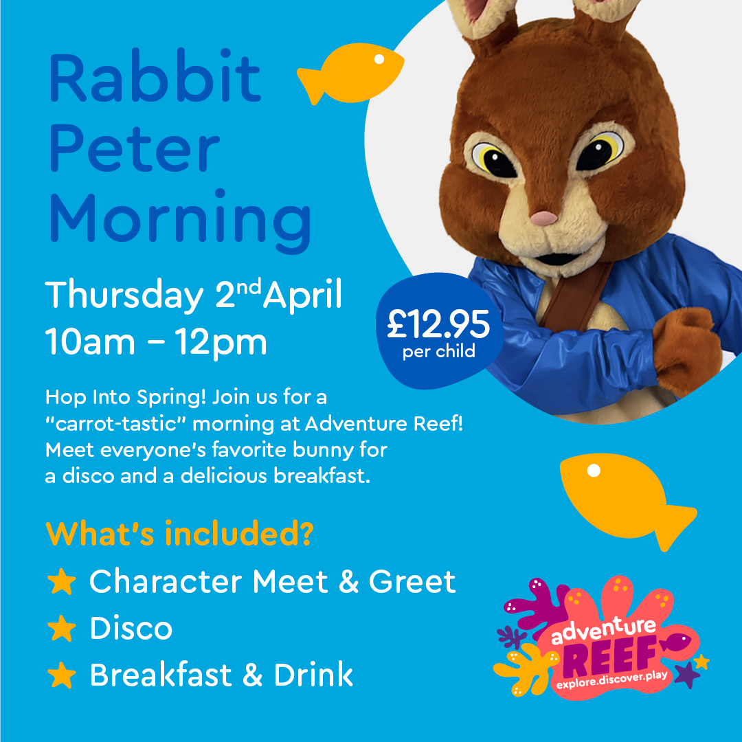 Morning Bruce Rabbit Rabbit Peter Morning - Metrodome Lesiure Complex